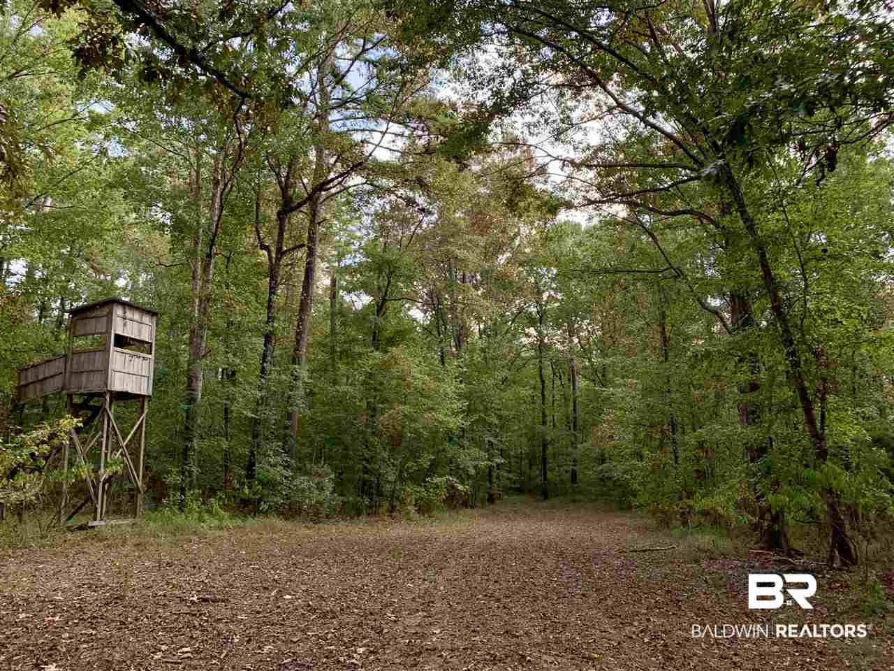 0 Holly Creek Road Stockton, AL 36579 - Photo 41 of 50