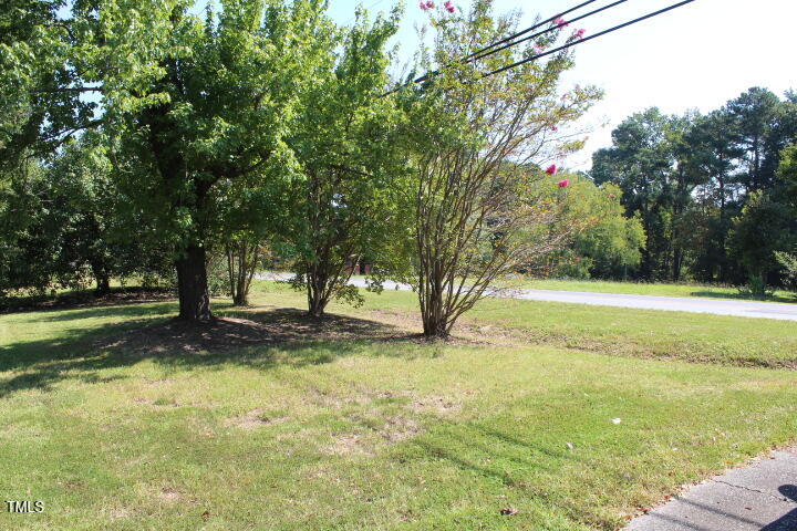 5700 Barbee Road Durham, NC 27713 - Photo 9 of 14 Right of driveway looking at street