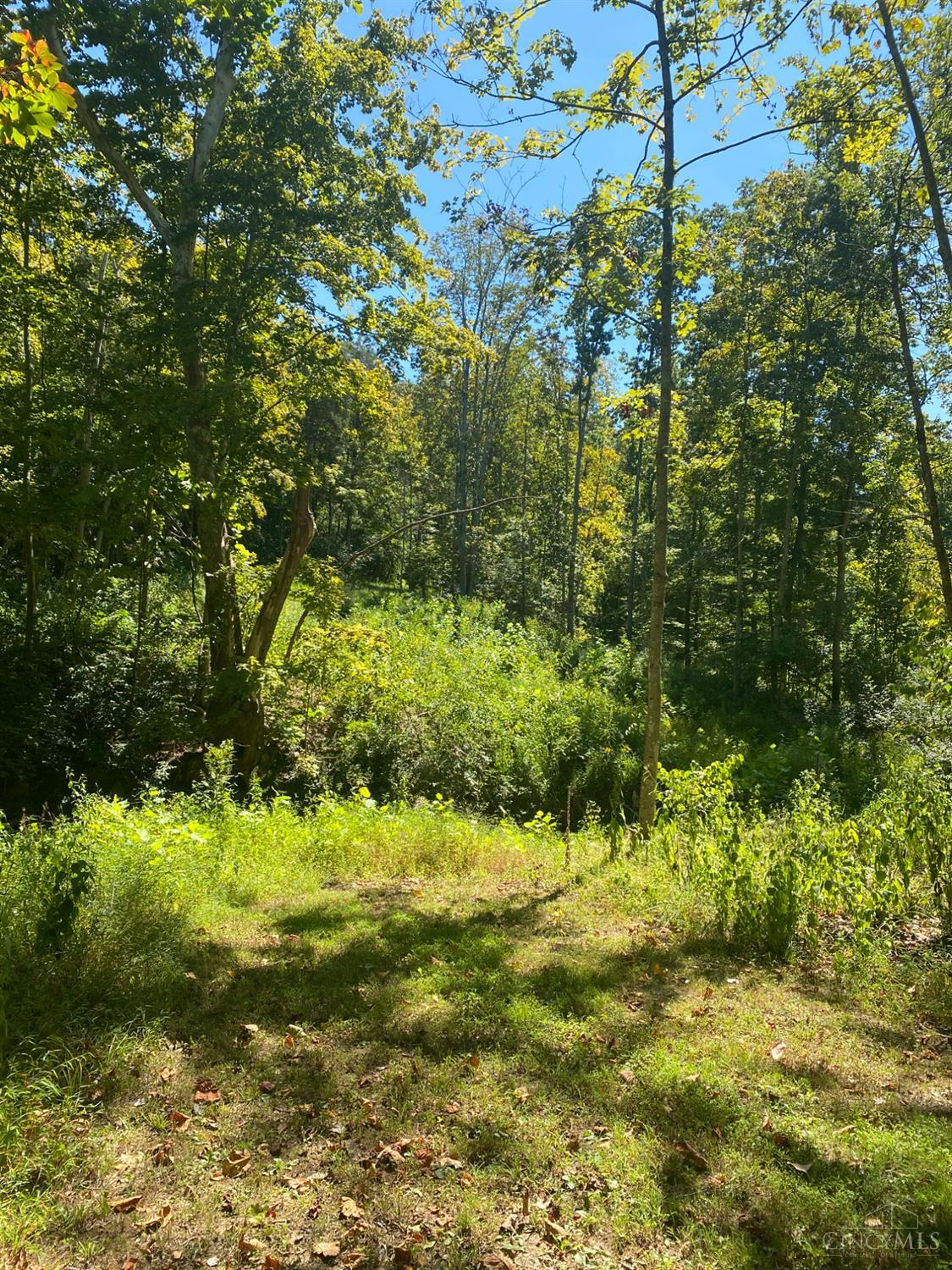 0 Sugar Camp Road Batavia, OH 45103 - Photo 2 of 8