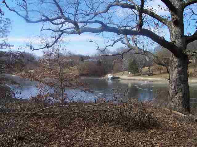 927 Diamond Mapleton, IL 61547 - Photo 1 of 5 Gallery Image 1