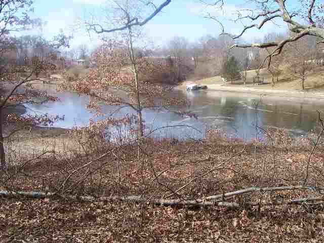 927 Diamond Mapleton, IL 61547 - Photo 2 of 5 Gallery Image 2