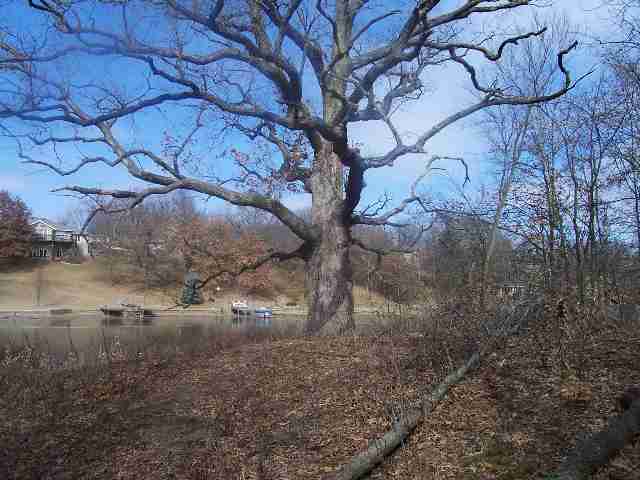 927 Diamond Mapleton, IL 61547 - Photo 3 of 5 Gallery Image 3
