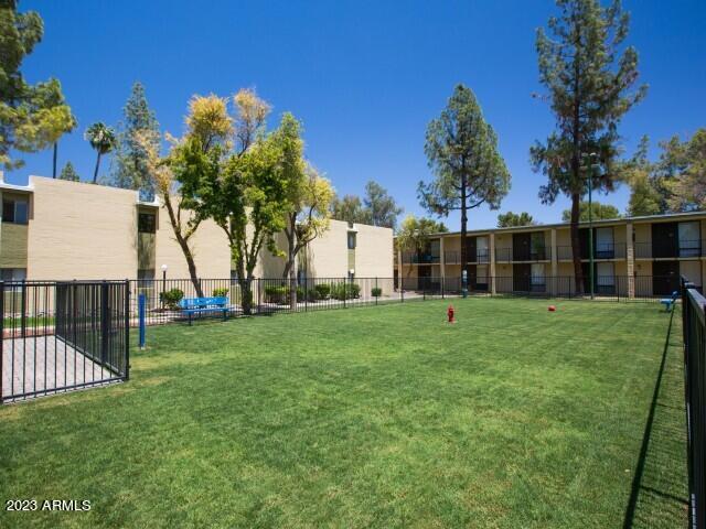 5900 East Thomas Road Scottsdale, AZ 85251 - Photo 4 of 6 Dog Park
