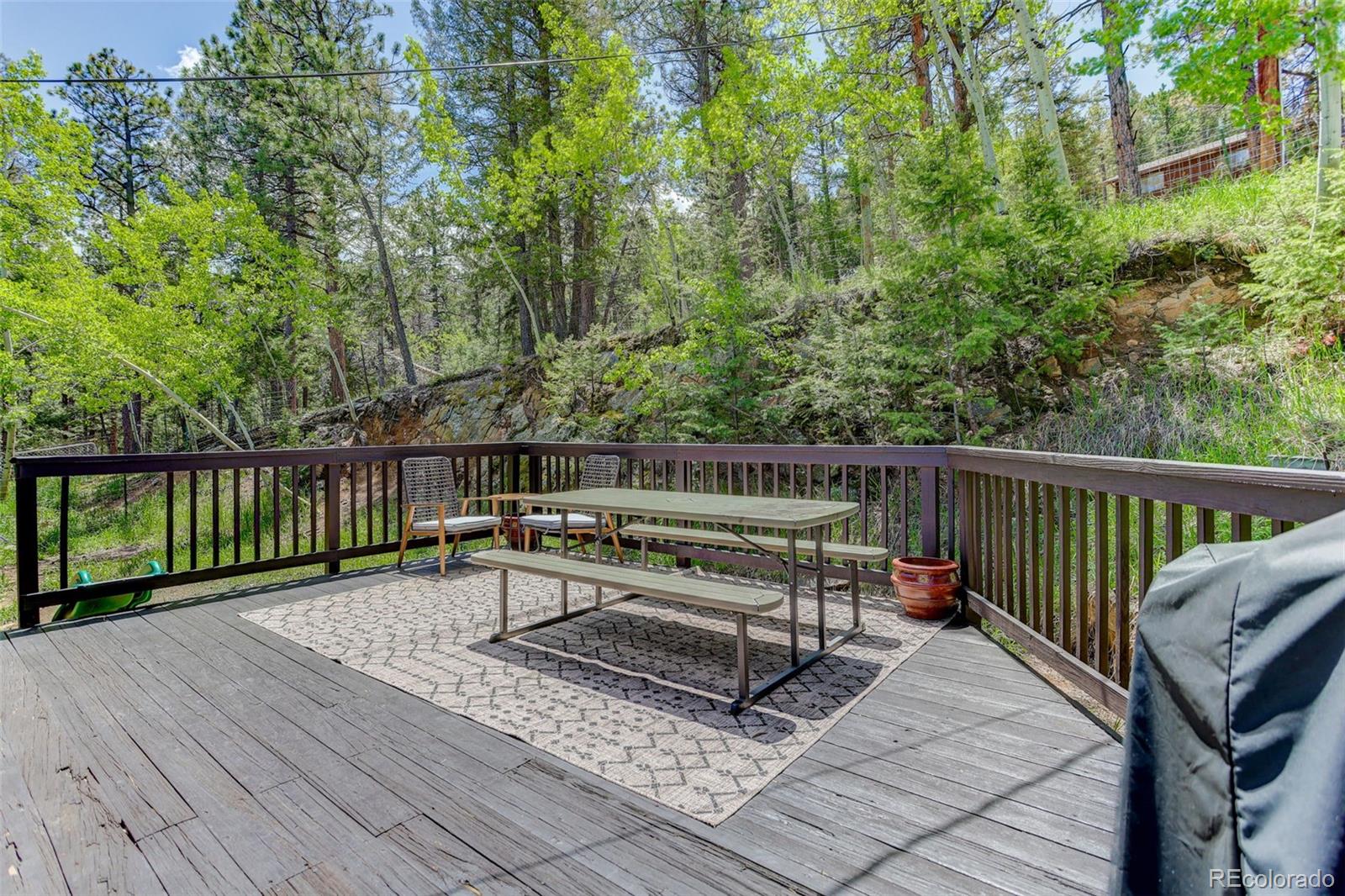 539 South Random Road Bailey, CO 80421 - Photo 12 of 46