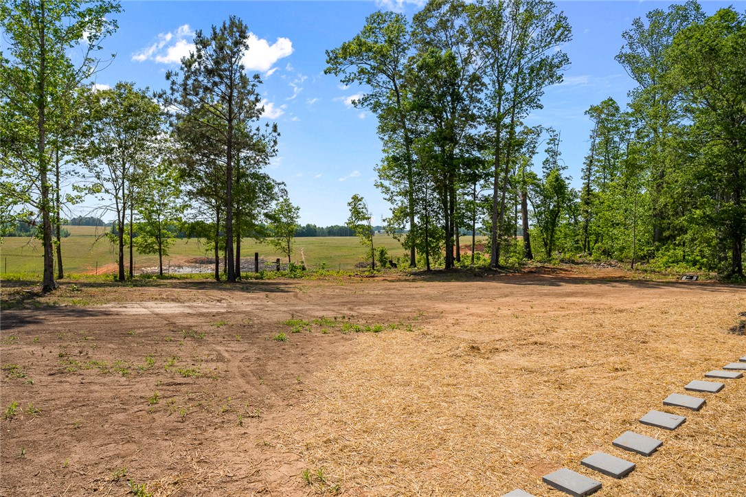 919 Rector Road Belton, SC 29627 - Photo 33 of 47 Gallery Image 33