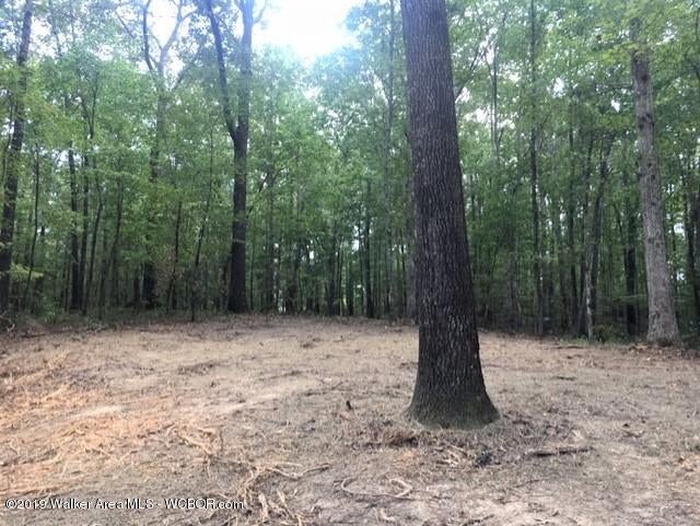 457 Broadway Road Winfield, AL 35594 - Photo 12 of 16 Gallery Image 12