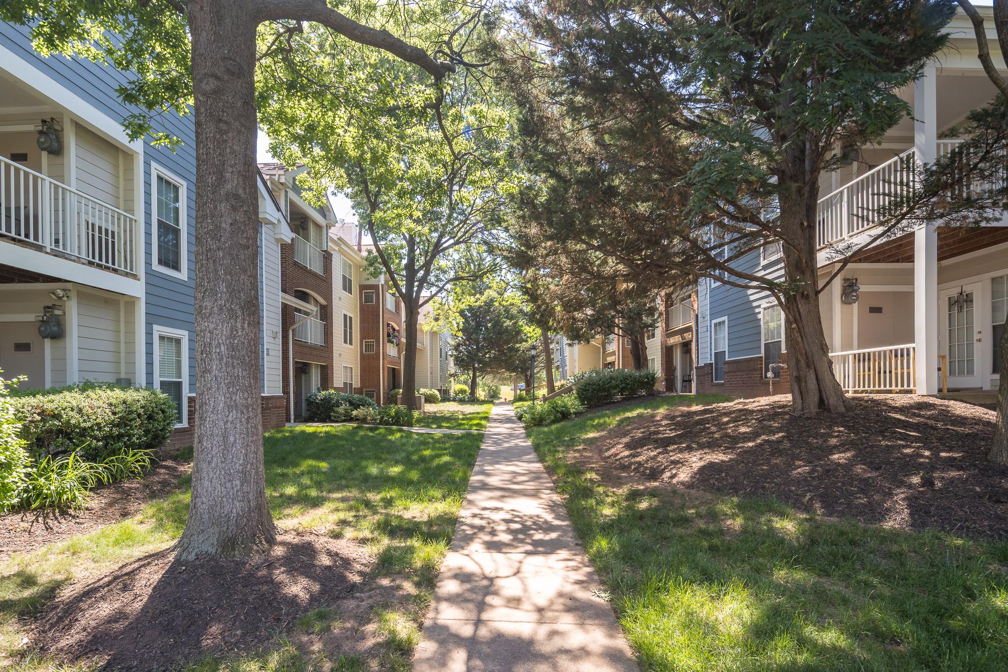 21009 Timber Ridge Terrace, Unit 203 Ashburn, VA 20147 - Photo 32 of 38 Pathway through complex