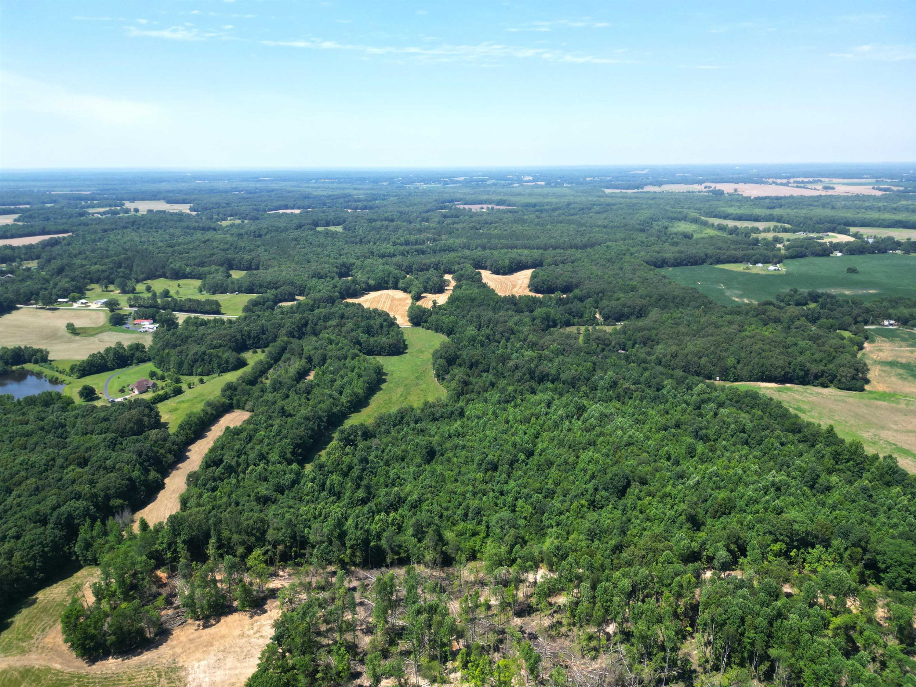 865 Bright Road Huntingdon, TN 38344 - Photo 34 of 46 Photo 34