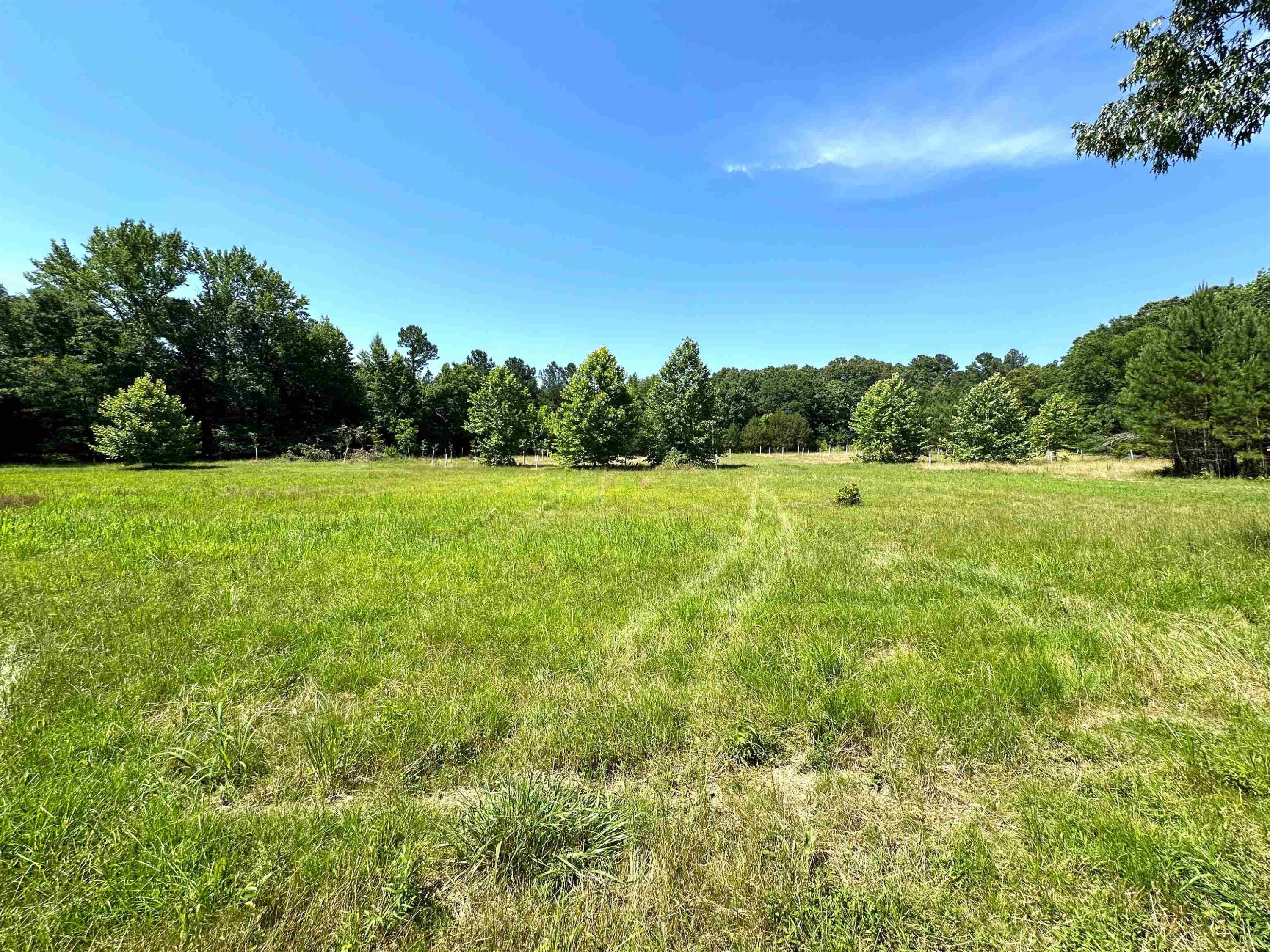 865 Bright Road Huntingdon, TN 38344 - Photo 36 of 46 Photo 36