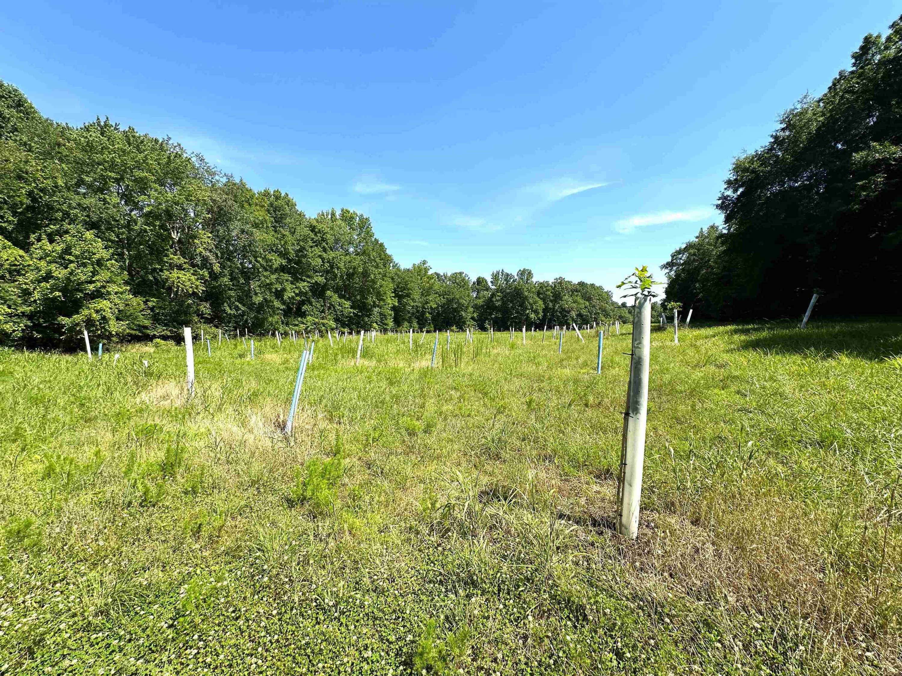865 Bright Road Huntingdon, TN 38344 - Photo 42 of 46 Photo 42
