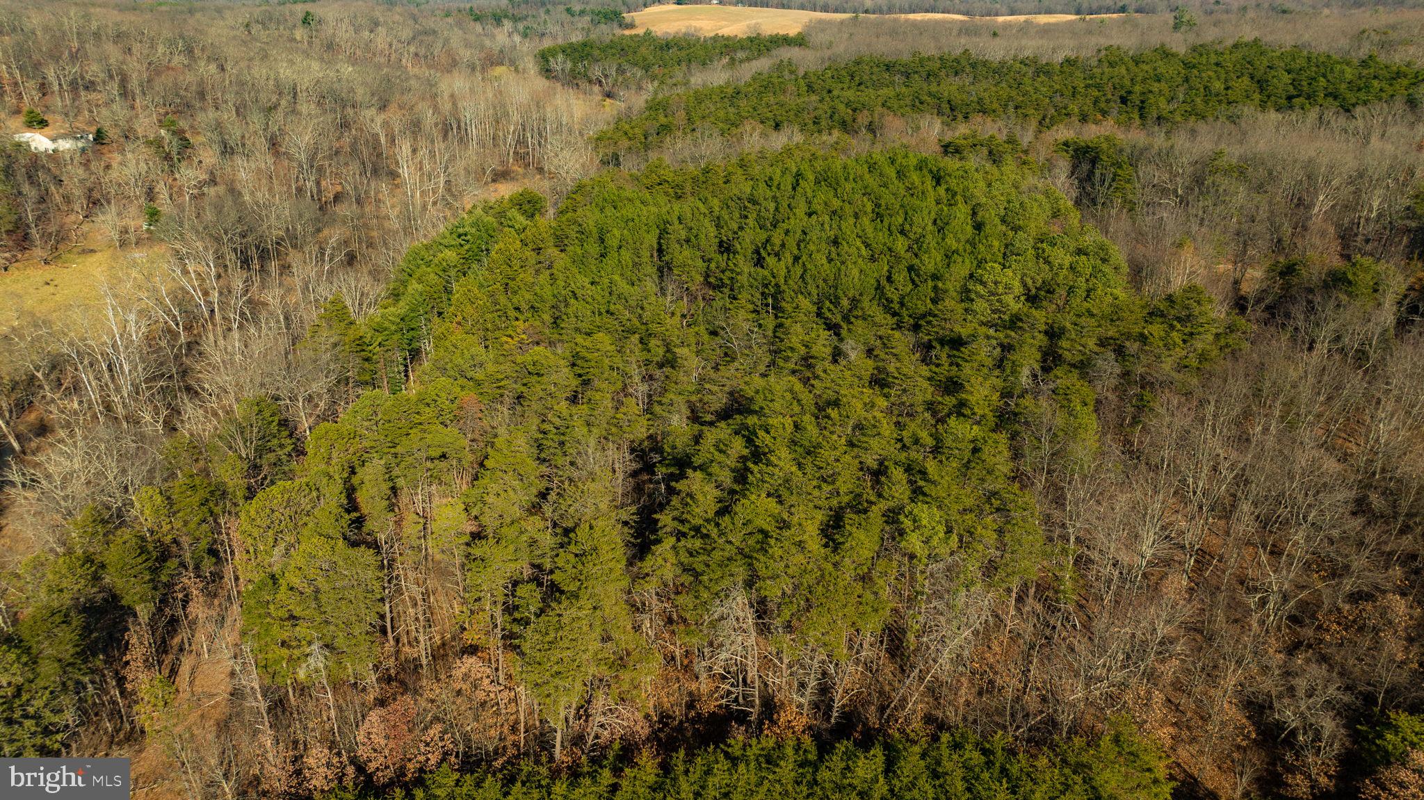 15.3 Ac Pcl B- Off Virginia Line Road Berkeley Springs, WV 25411 - Photo 11 of 24 Gallery Image 11