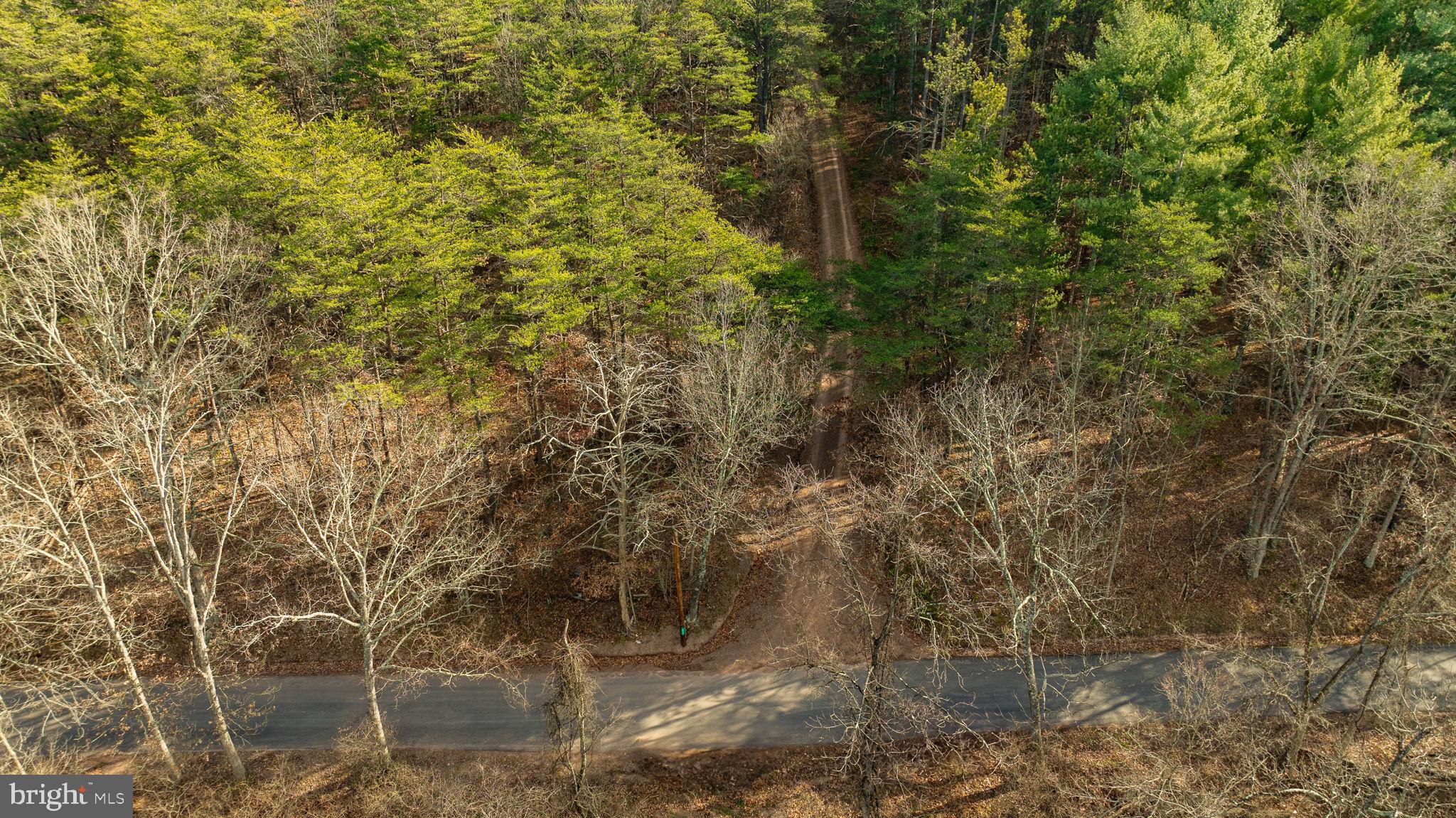 15.3 Ac Pcl B- Off Virginia Line Road Berkeley Springs, WV 25411 - Photo 13 of 24 Gallery Image 13
