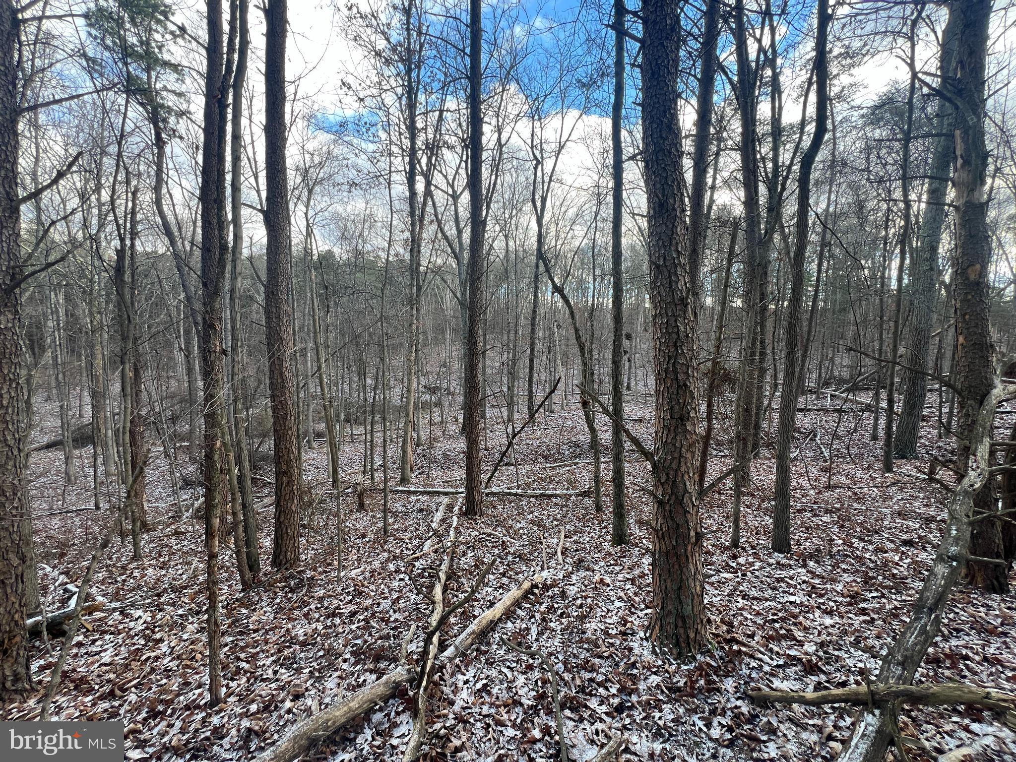 15.3 Ac Pcl B- Off Virginia Line Road Berkeley Springs, WV 25411 - Photo 18 of 24 Gallery Image 18