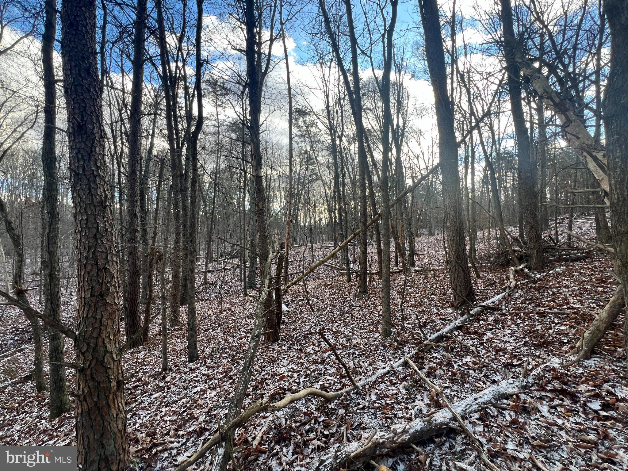 15.3 Ac Pcl B- Off Virginia Line Road Berkeley Springs, WV 25411 - Photo 19 of 24 Gallery Image 19