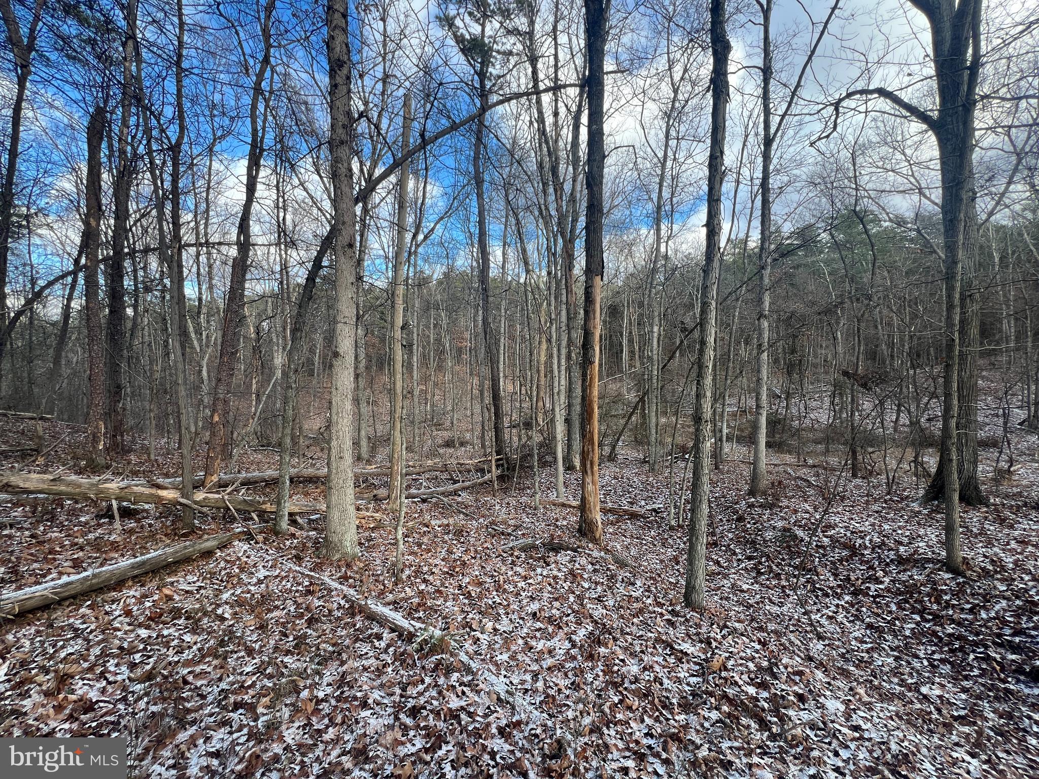 15.3 Ac Pcl B- Off Virginia Line Road Berkeley Springs, WV 25411 - Photo 20 of 24 Gallery Image 20