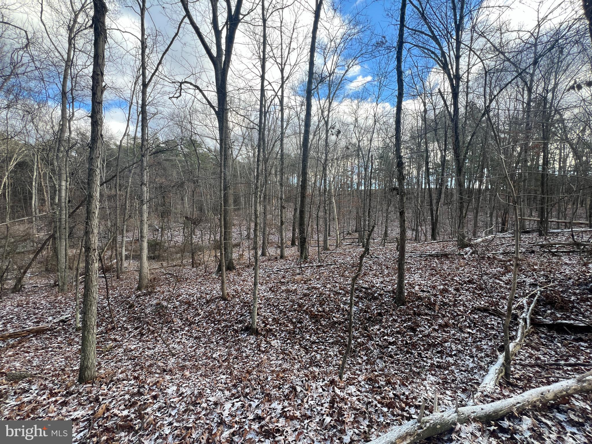 15.3 Ac Pcl B- Off Virginia Line Road Berkeley Springs, WV 25411 - Photo 21 of 24 Gallery Image 21