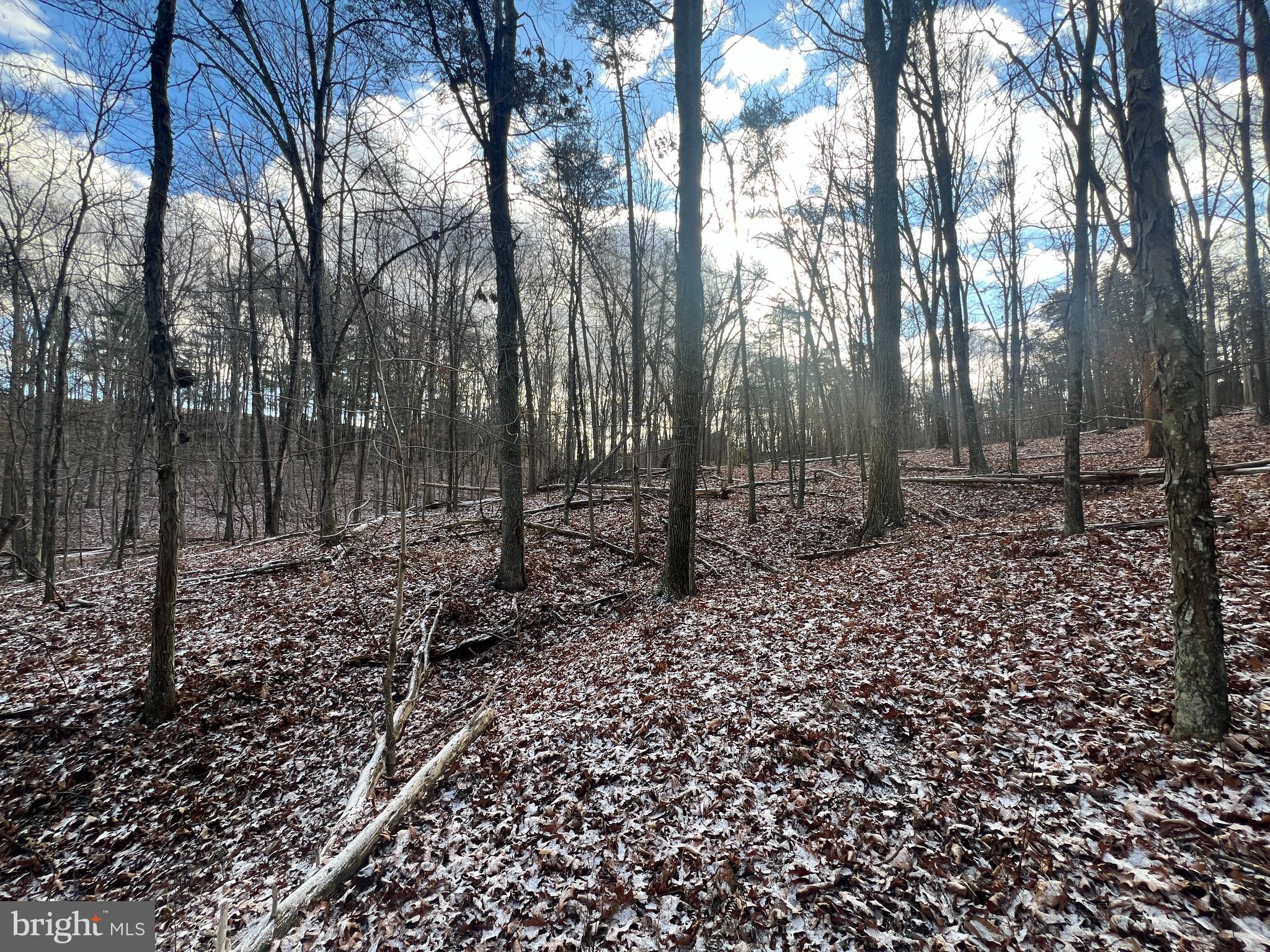 15.3 Ac Pcl B- Off Virginia Line Road Berkeley Springs, WV 25411 - Photo 22 of 24 Gallery Image 22
