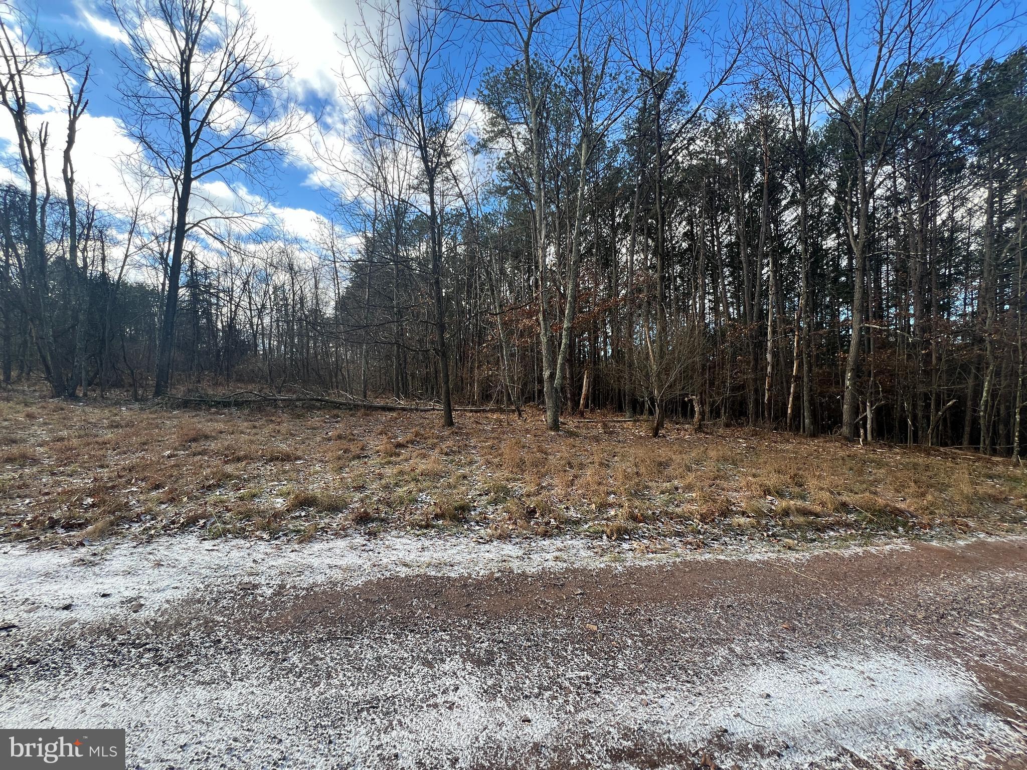 15.3 Ac Pcl B- Off Virginia Line Road Berkeley Springs, WV 25411 - Photo 23 of 24 Gallery Image 23