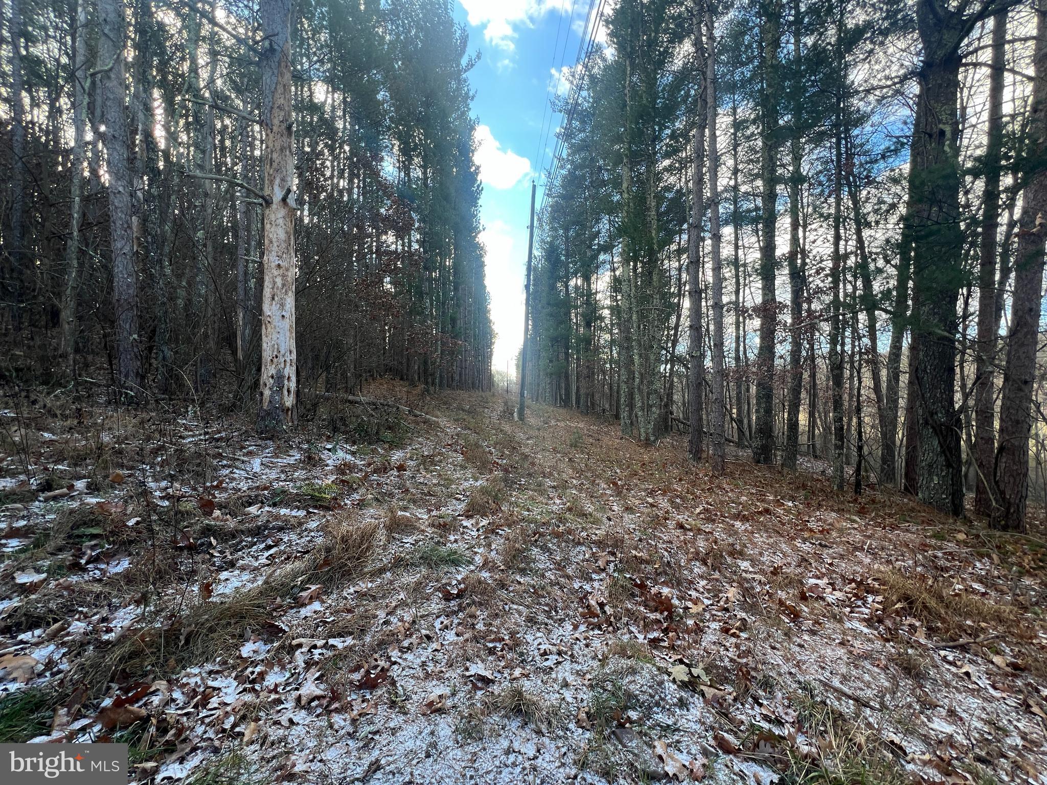 15.3 Ac Pcl B- Off Virginia Line Road Berkeley Springs, WV 25411 - Photo 24 of 24 Gallery Image 24