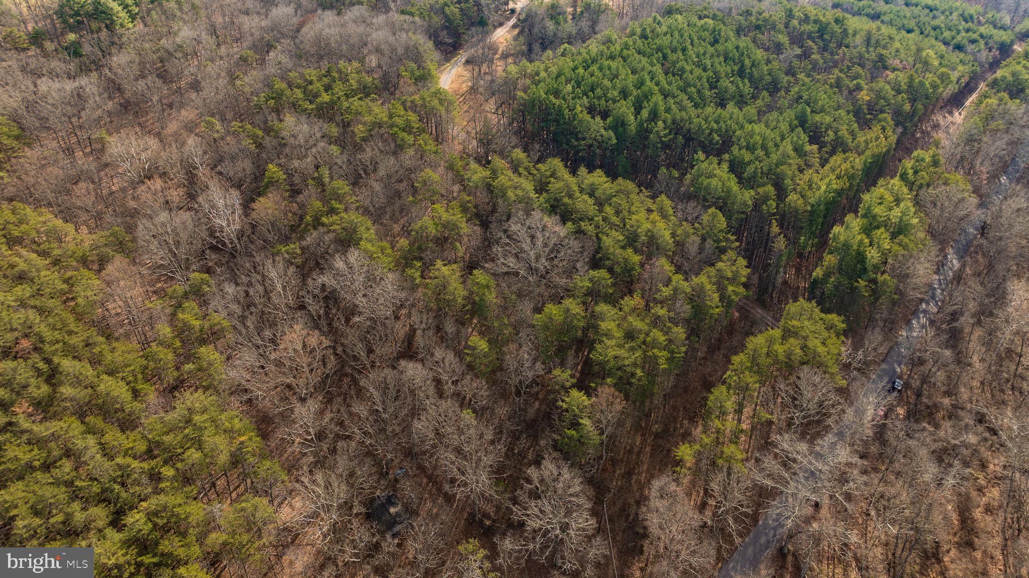 15.3 Ac Pcl B- Off Virginia Line Road Berkeley Springs, WV 25411 - Photo 3 of 24 Gallery Image 3