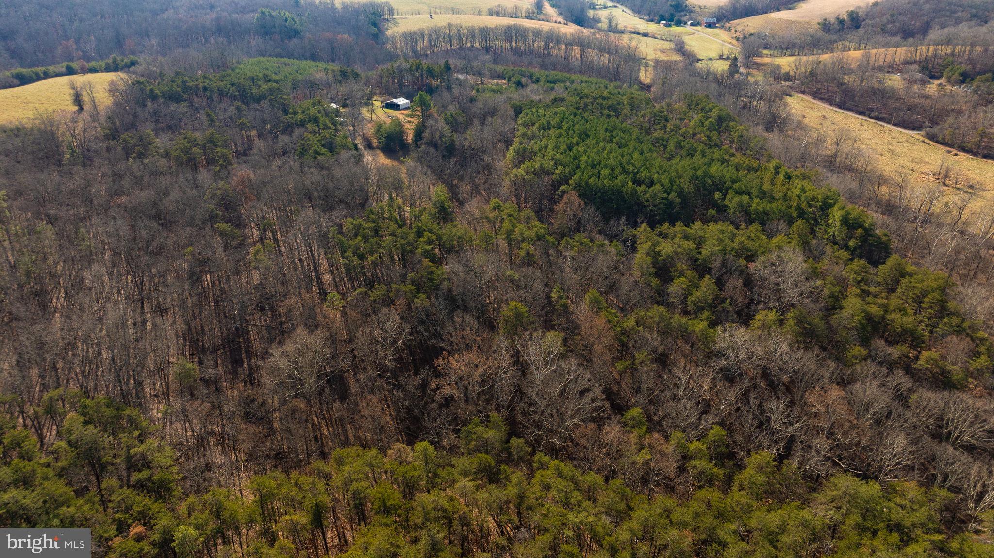15.3 Ac Pcl B- Off Virginia Line Road Berkeley Springs, WV 25411 - Photo 4 of 24 Gallery Image 4