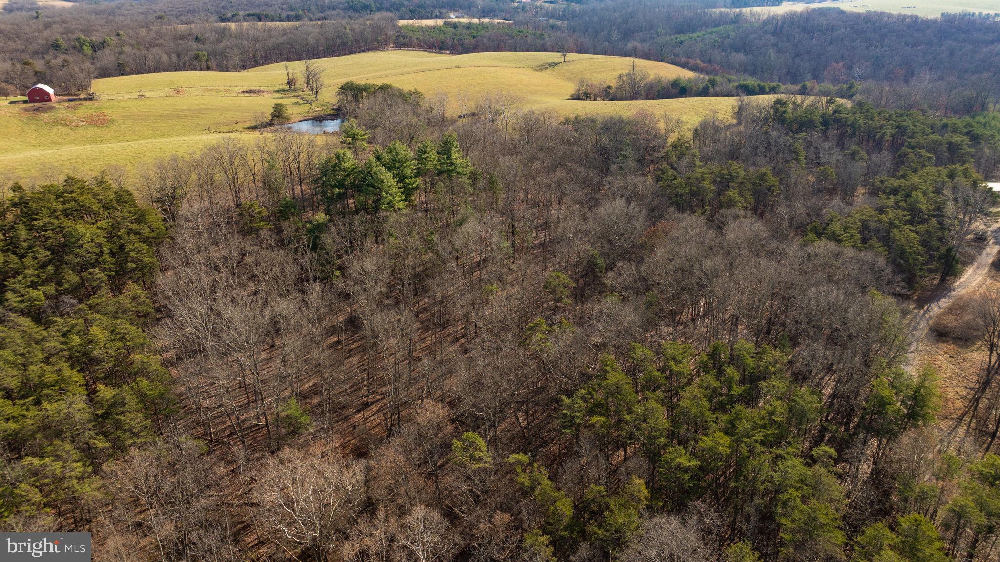 15.3 Ac Pcl B- Off Virginia Line Road Berkeley Springs, WV 25411 - Photo 5 of 24 Gallery Image 5