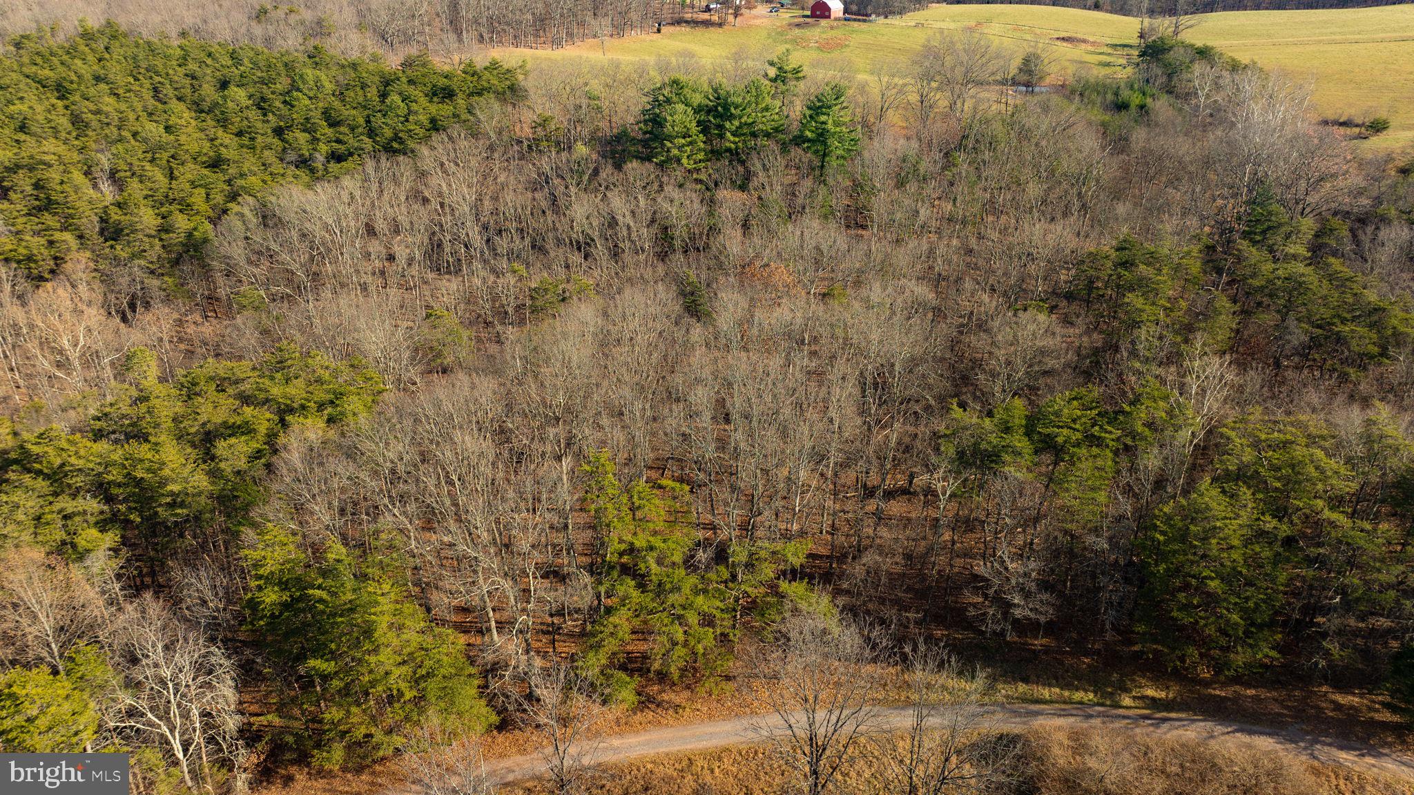 15.3 Ac Pcl B- Off Virginia Line Road Berkeley Springs, WV 25411 - Photo 6 of 24 Gallery Image 6