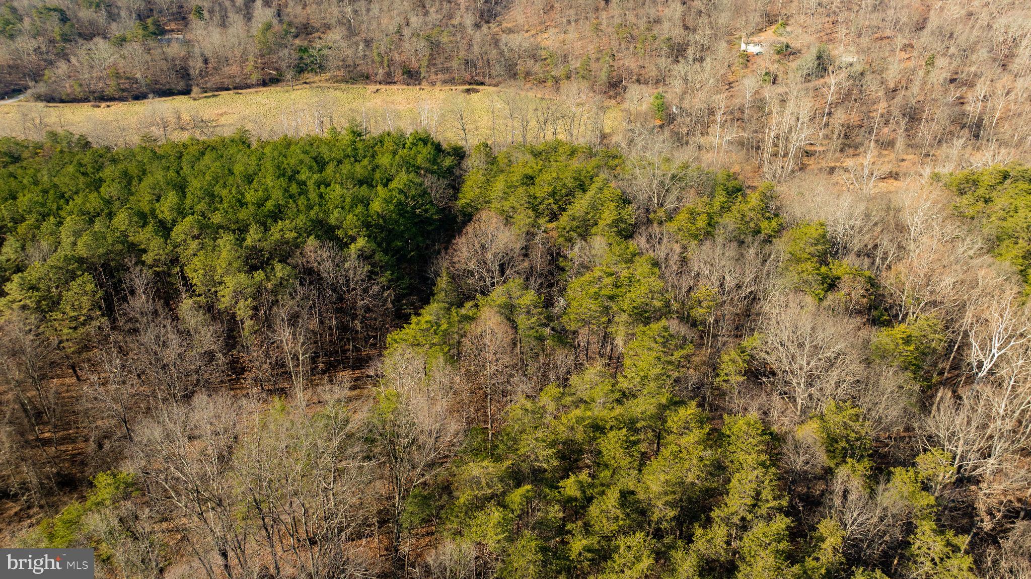 15.3 Ac Pcl B- Off Virginia Line Road Berkeley Springs, WV 25411 - Photo 7 of 24 Gallery Image 7
