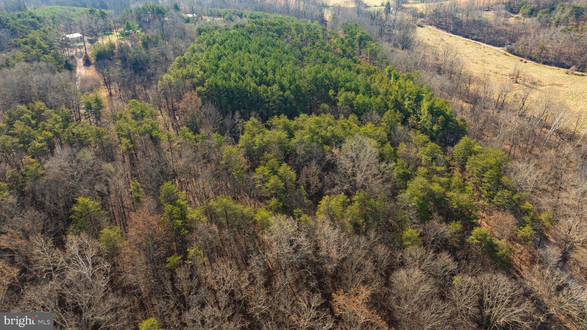 15.3 Ac Pcl B- Off Virginia Line Road Berkeley Springs, WV 25411 - Photo 8 of 24 Gallery Image 8