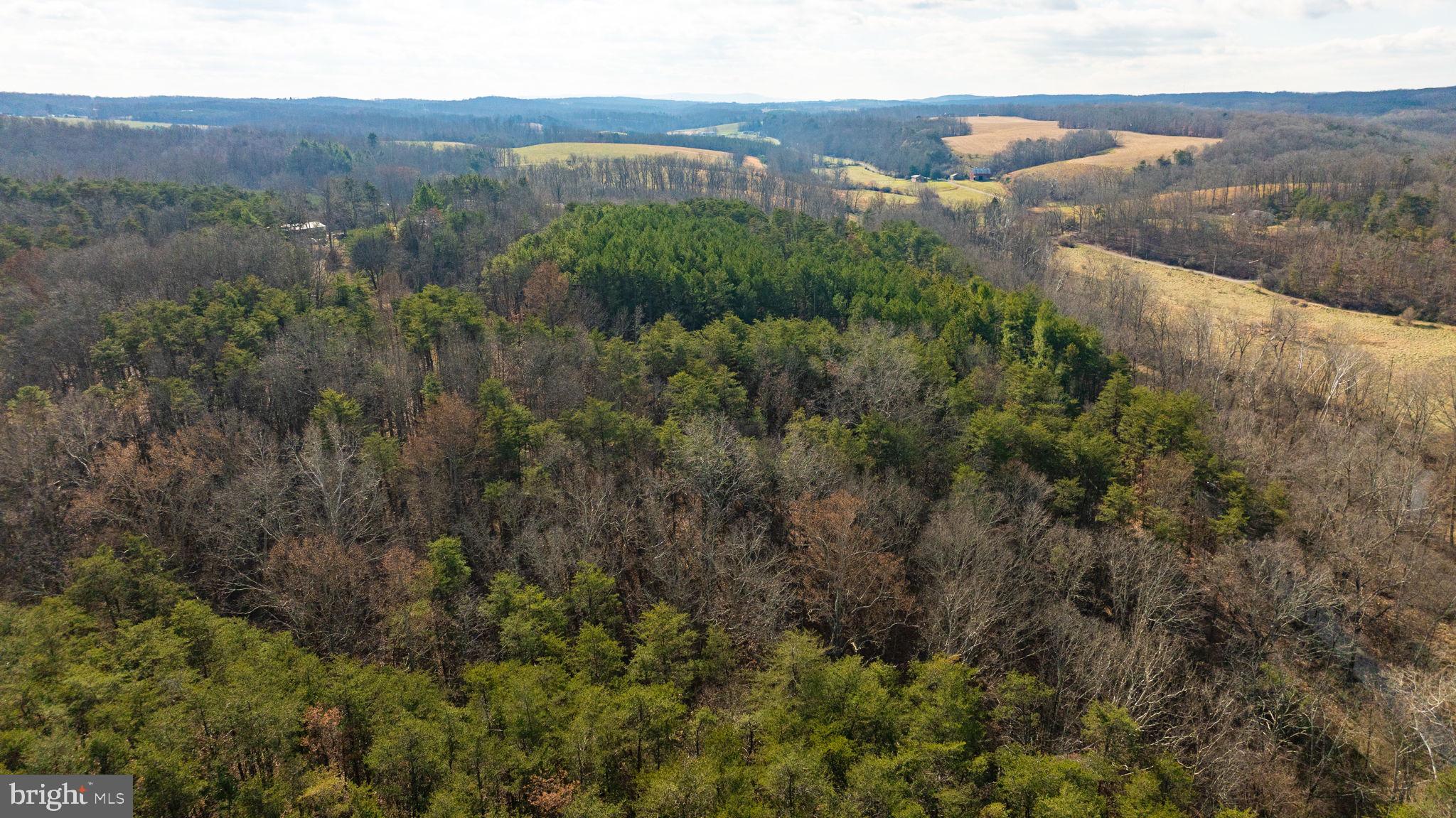 15.3 Ac Pcl B- Off Virginia Line Road Berkeley Springs, WV 25411 - Photo 9 of 24 Gallery Image 9