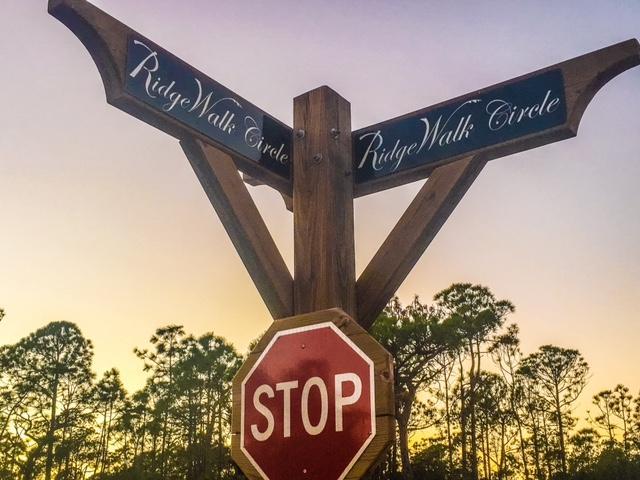 228 Ridgewalk Circle Santa Rosa Beach, FL 32459 - Photo 18 of 21 a close up of a street sign