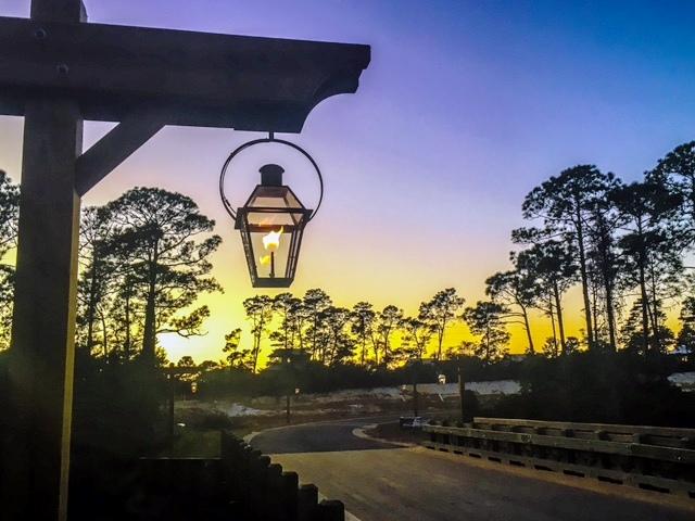 228 Ridgewalk Circle Santa Rosa Beach, FL 32459 - Photo 7 of 21 a picture of a yard