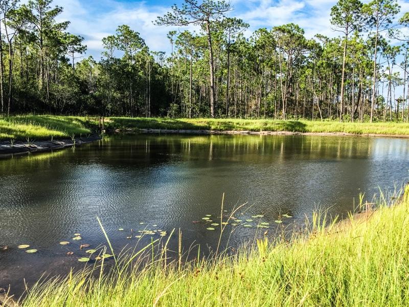 228 Ridgewalk Circle Santa Rosa Beach, FL 32459 - Photo 10 of 21 a view of lake