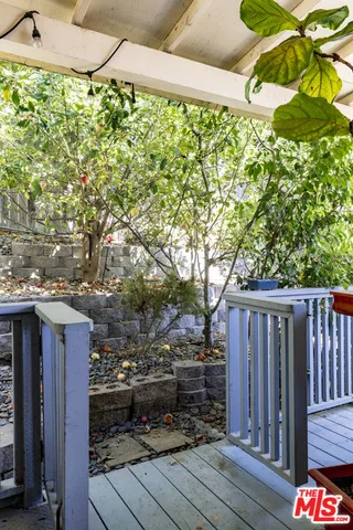 a view of three palm trees