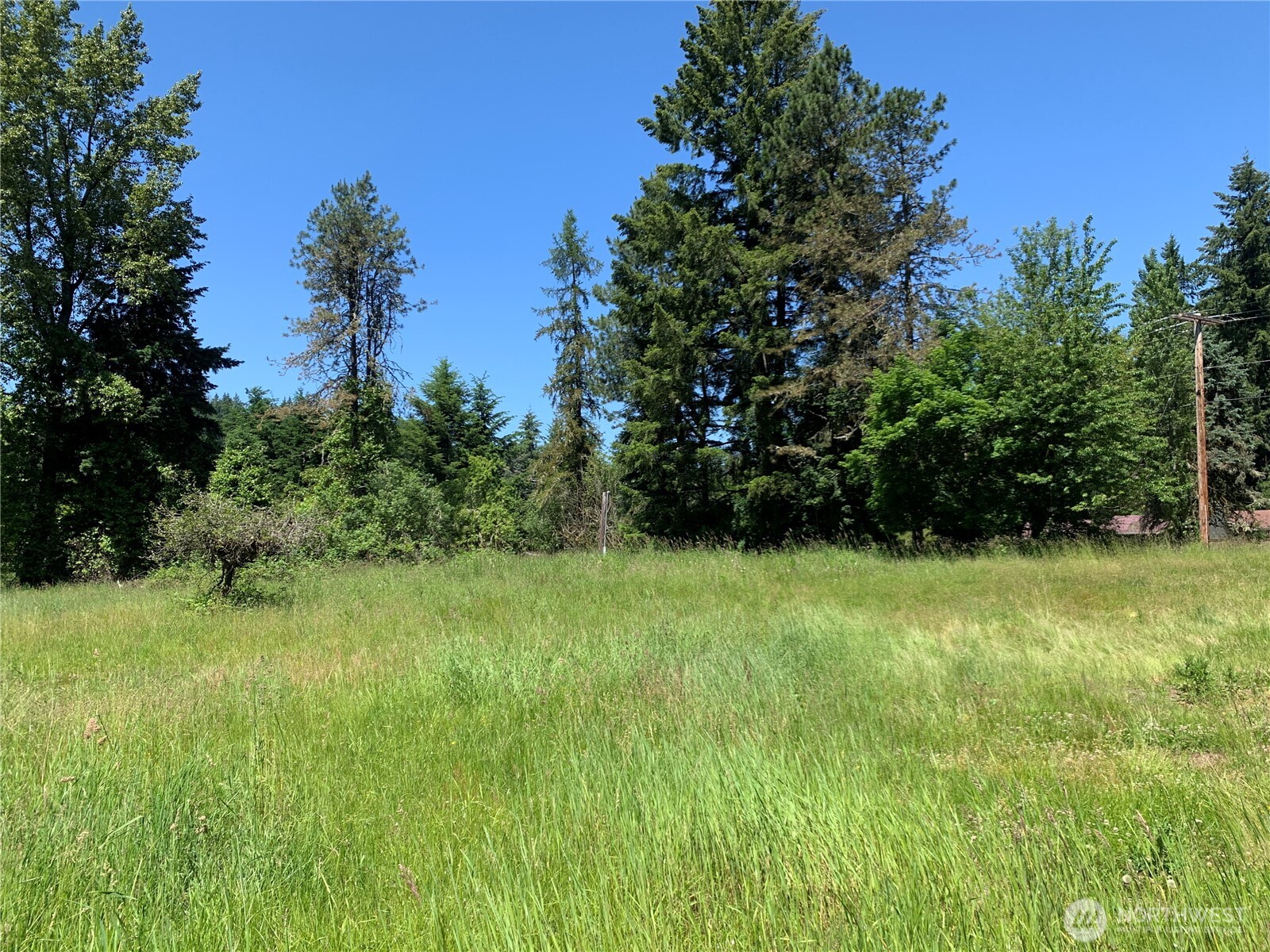 15412 A P Tubbs Road East Buckley, WA 98321 - Photo 12 of 35