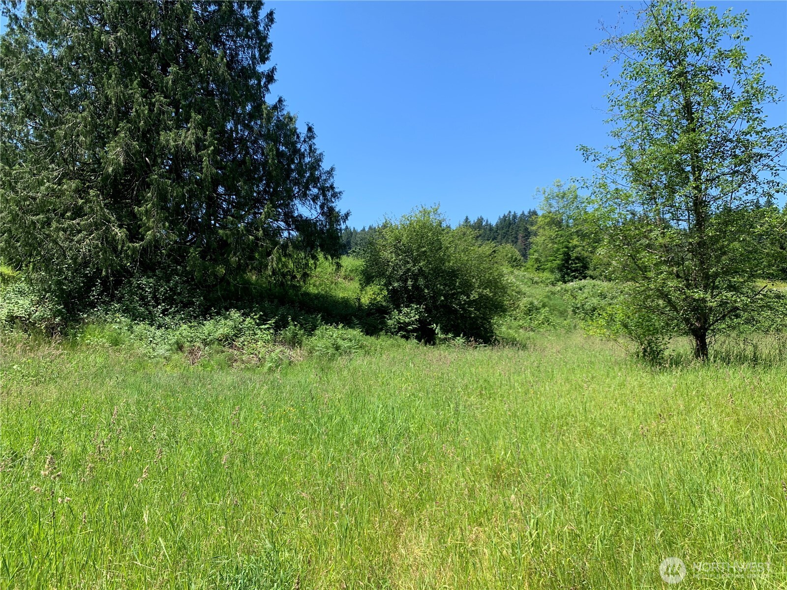 15412 A P Tubbs Road East Buckley, WA 98321 - Photo 14 of 35