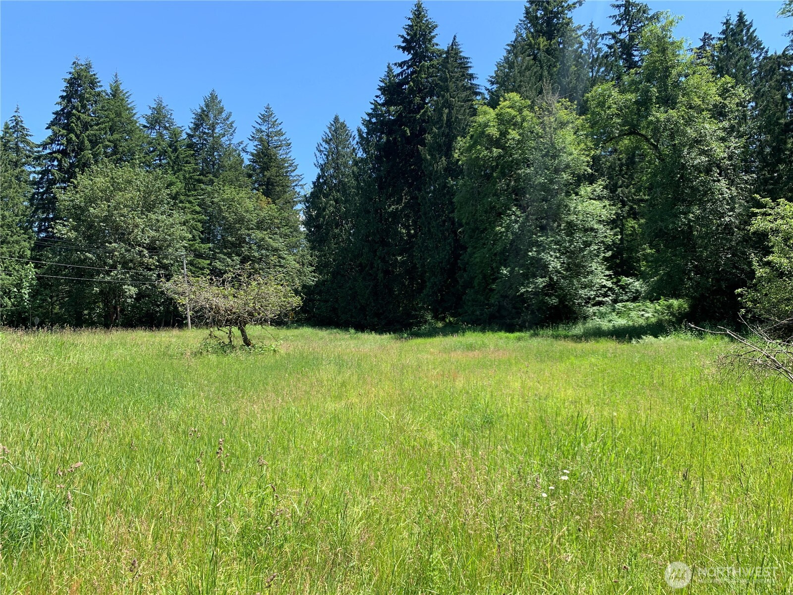 15412 A P Tubbs Road East Buckley, WA 98321 - Photo 15 of 35