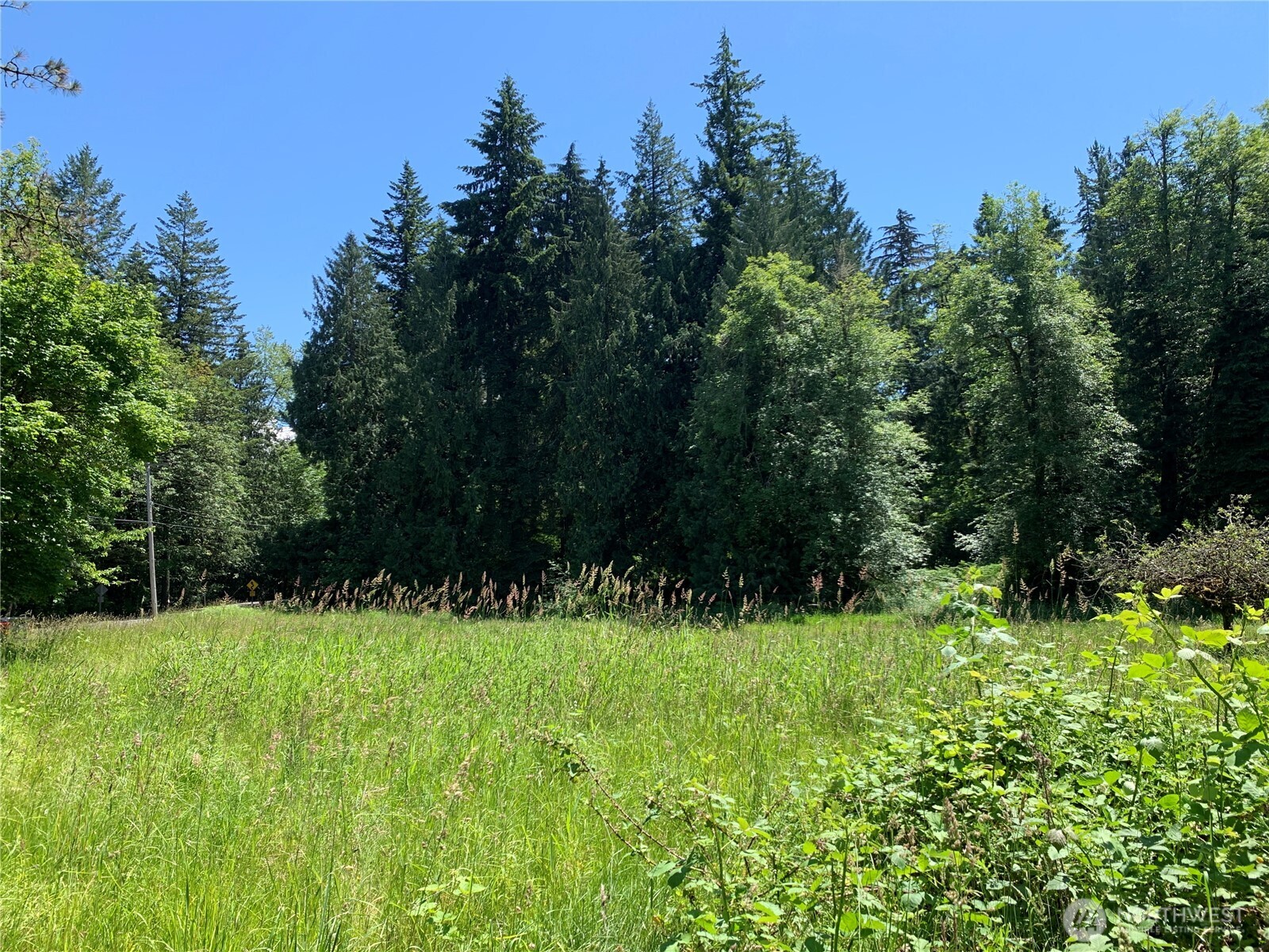 15412 A P Tubbs Road East Buckley, WA 98321 - Photo 16 of 35