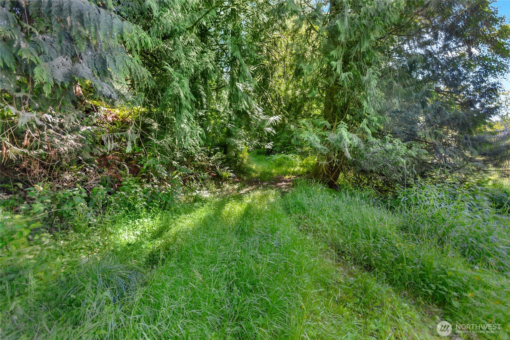 15412 A P Tubbs Road East Buckley, WA 98321 - Photo 18 of 35