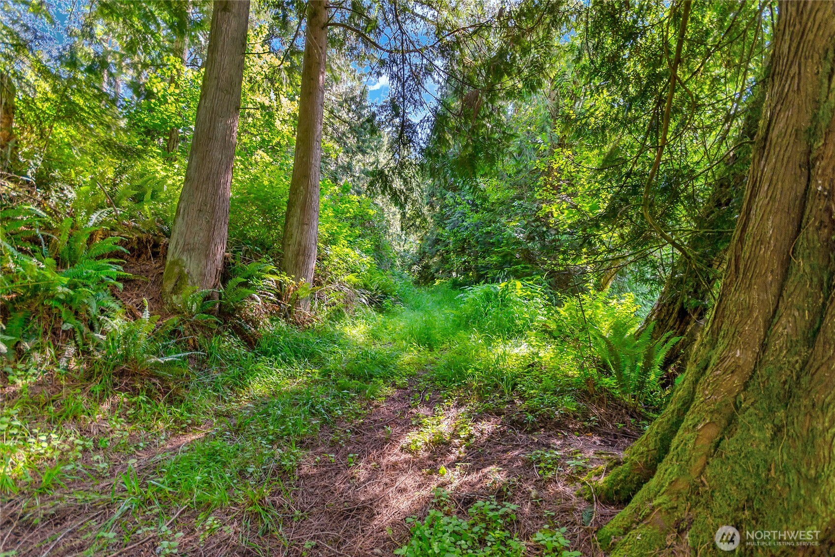 15412 A P Tubbs Road East Buckley, WA 98321 - Photo 19 of 35