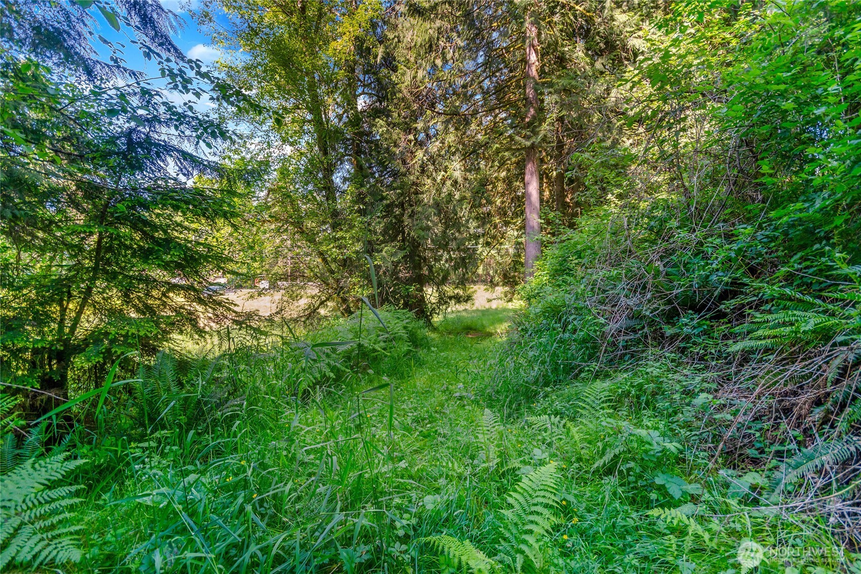 15412 A P Tubbs Road East Buckley, WA 98321 - Photo 20 of 35