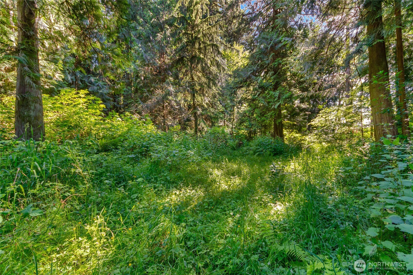 15412 A P Tubbs Road East Buckley, WA 98321 - Photo 21 of 35