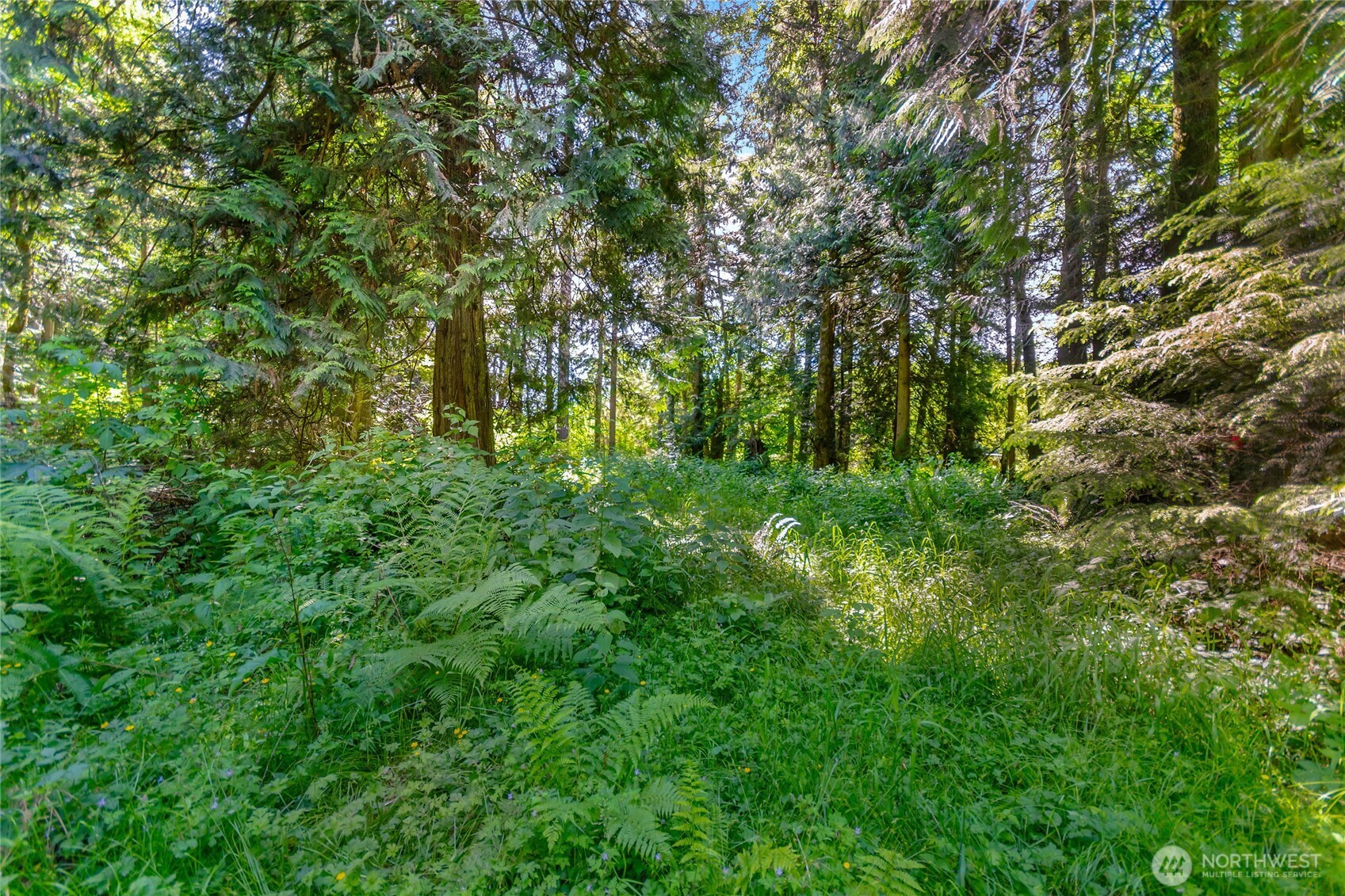 15412 A P Tubbs Road East Buckley, WA 98321 - Photo 22 of 35