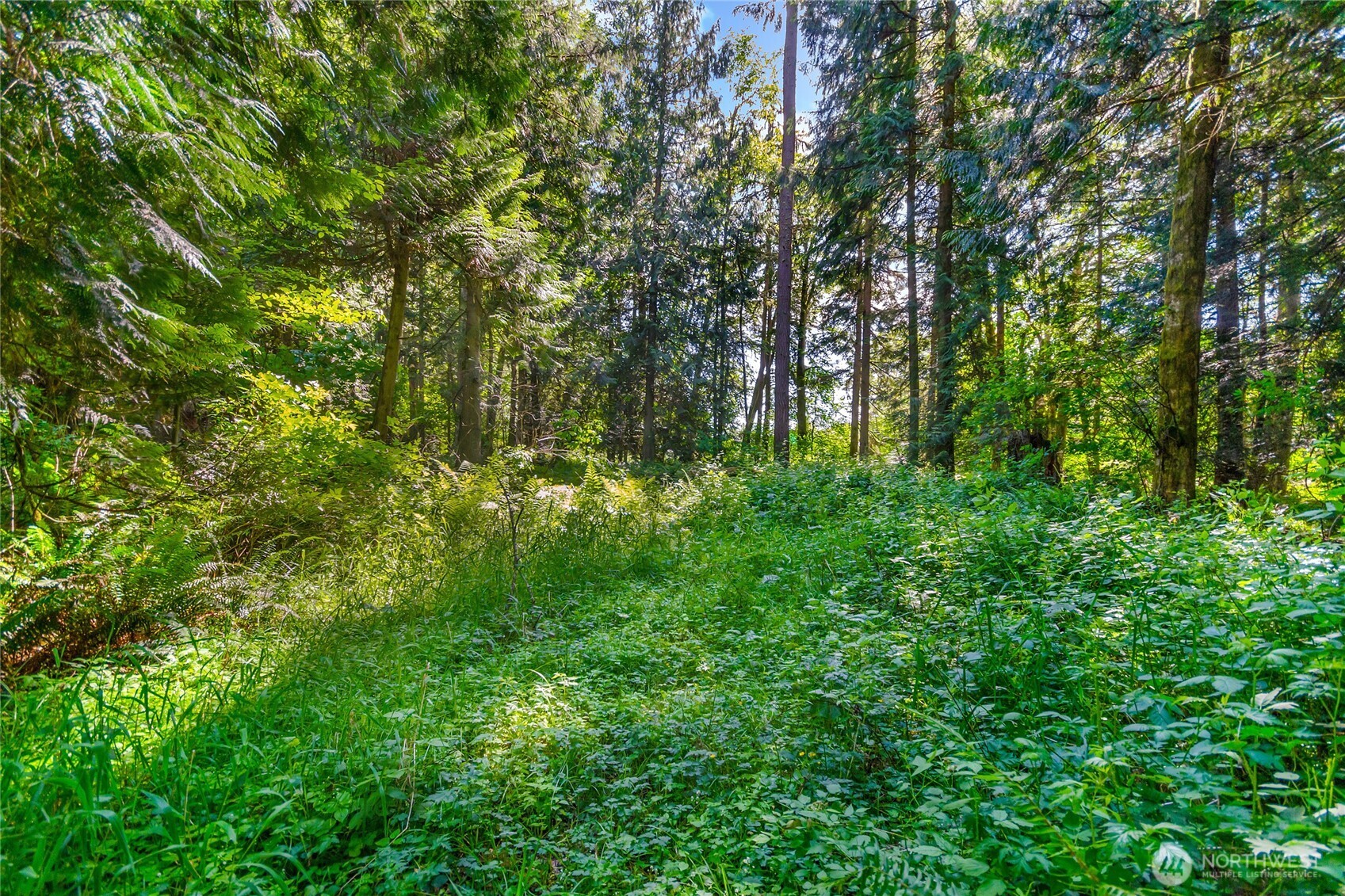 15412 A P Tubbs Road East Buckley, WA 98321 - Photo 23 of 35