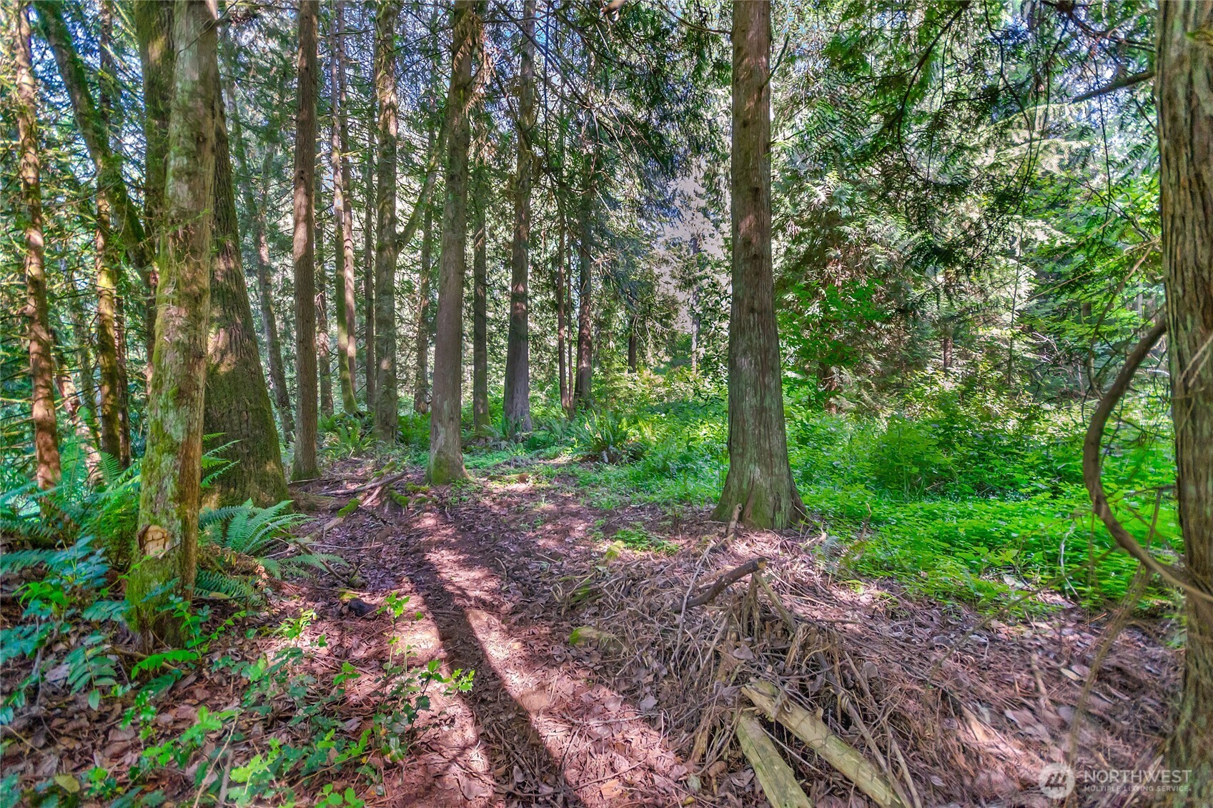 15412 A P Tubbs Road East Buckley, WA 98321 - Photo 24 of 35