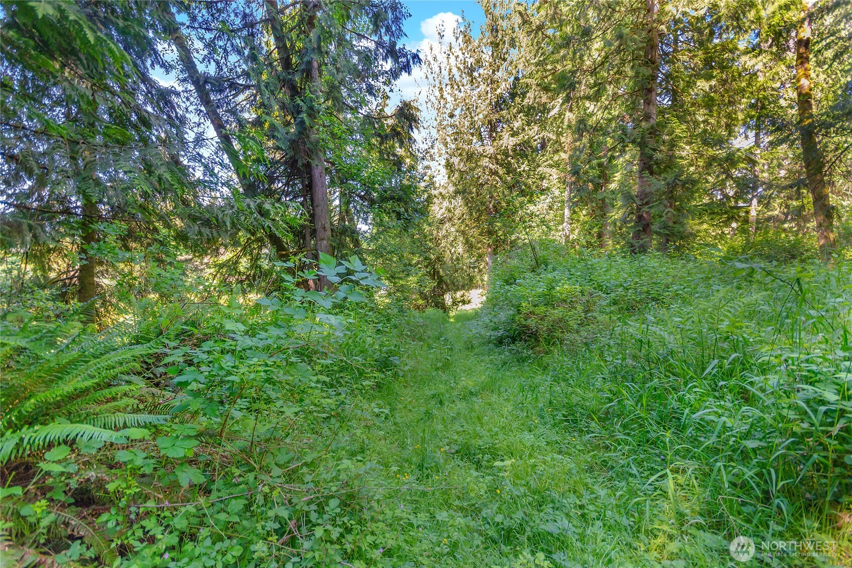 15412 A P Tubbs Road East Buckley, WA 98321 - Photo 25 of 35