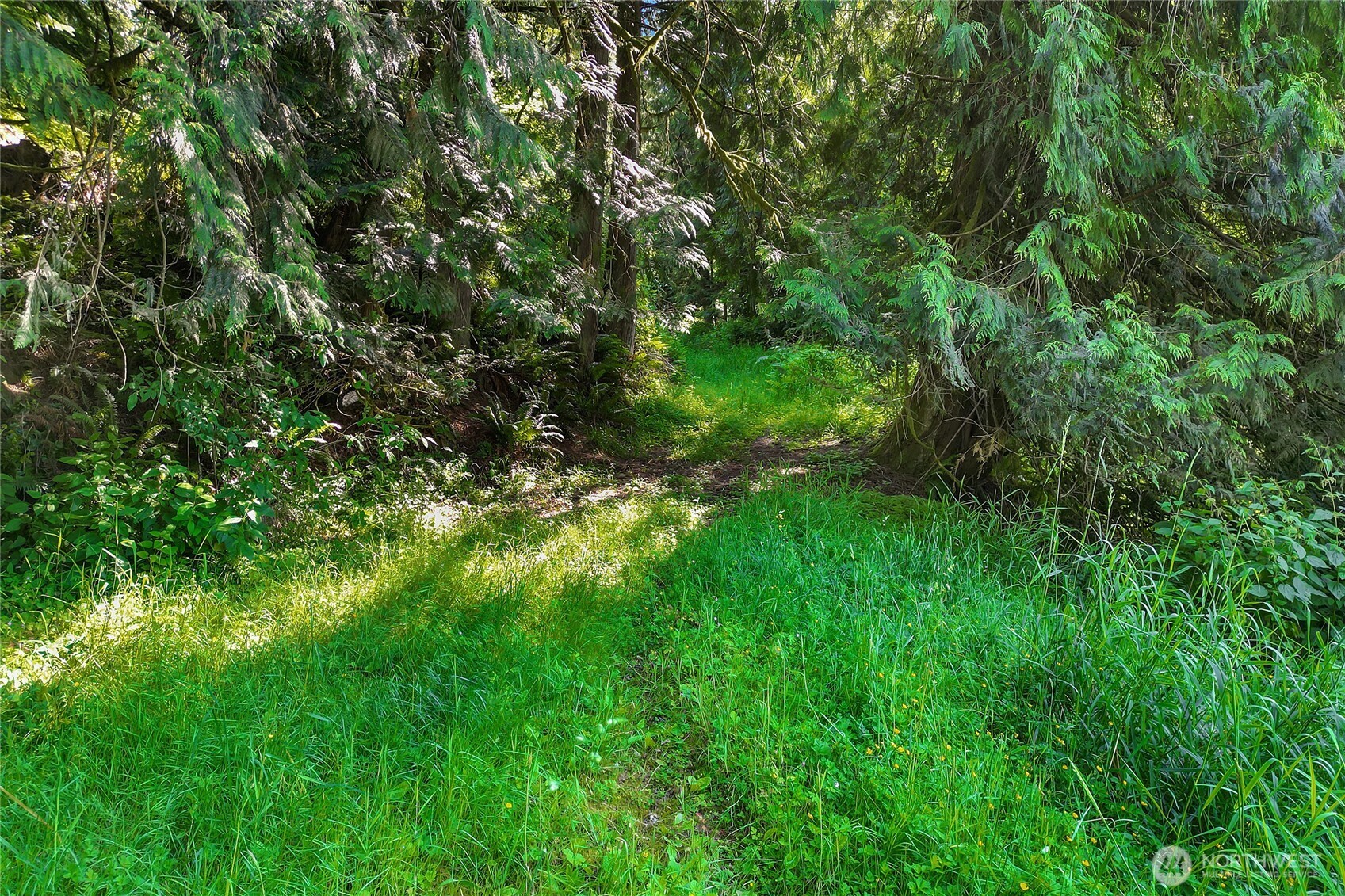 15412 A P Tubbs Road East Buckley, WA 98321 - Photo 26 of 35