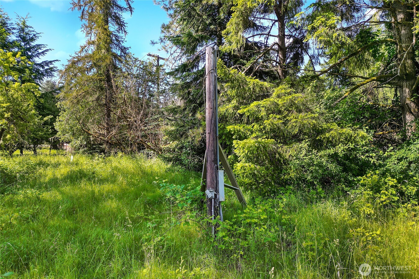 15412 A P Tubbs Road East Buckley, WA 98321 - Photo 33 of 35