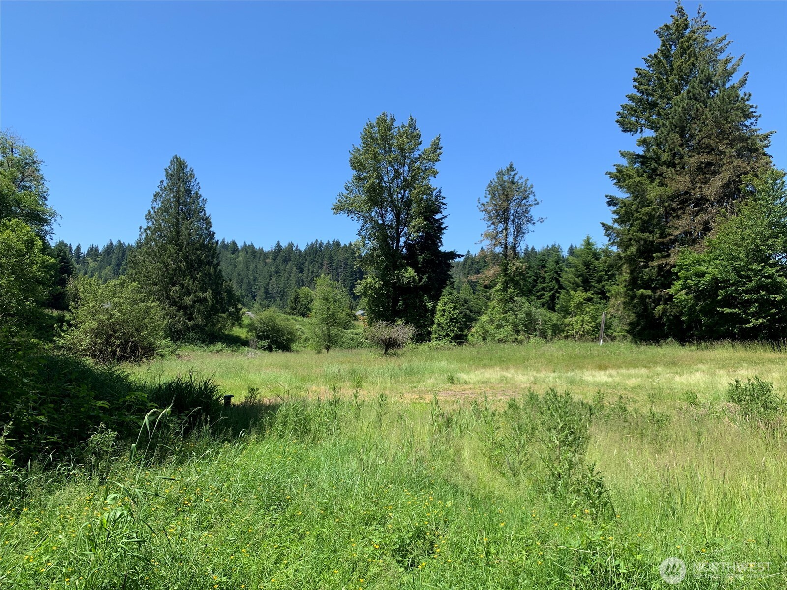 15412 A P Tubbs Road East Buckley, WA 98321 - Photo 5 of 35