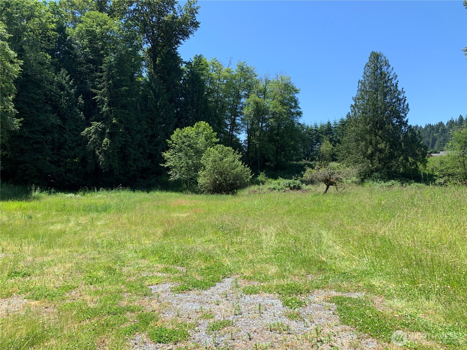 15412 A P Tubbs Road East Buckley, WA 98321 - Photo 6 of 35